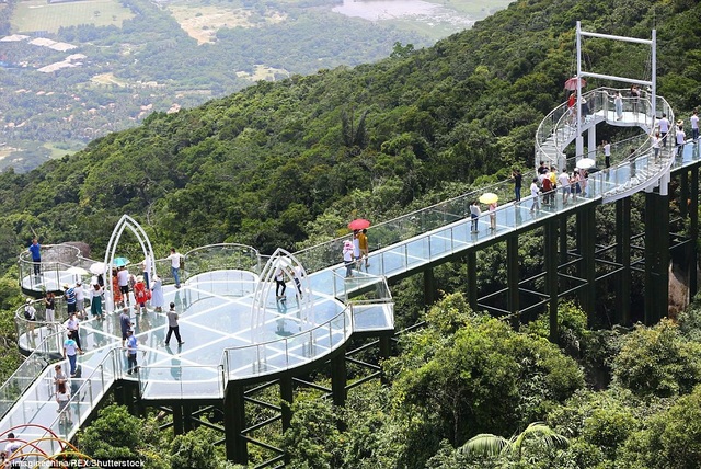 Trung Quốc mở cửa cầu đáy kính đi xuyên rừng ở độ cao 450m - 4 Du khách có cảm giác như đang đi bộ giữa không trung