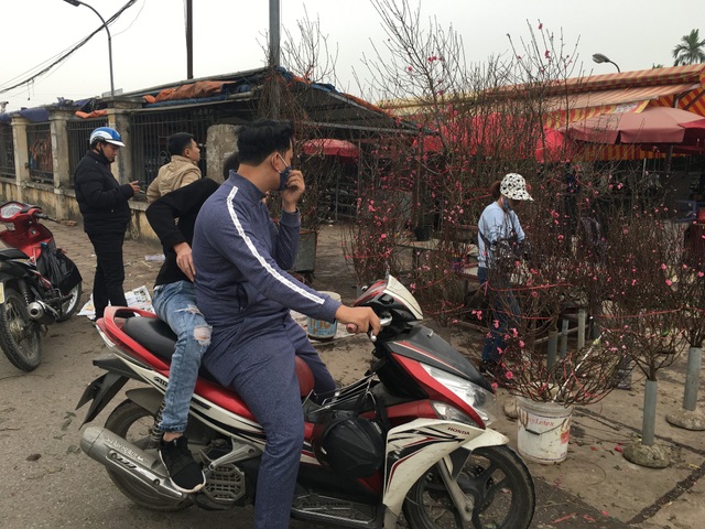Không đợi đến Tết, người Hà Nội "đua nhau" chơi đào sớm - 5 Không đợi đến Tết, người Hà Nội "đua nhau" chơi đào sớm - 5