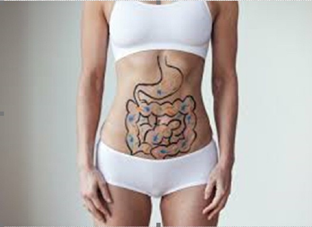 Các vi sinh vật của ruột có thể điều trị u ác tính - 1 Các vi sinh vật của ruột có thể điều trị u ác tính - 1