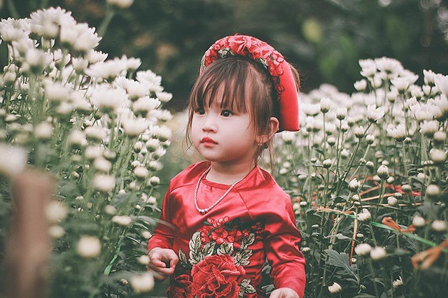 Bộ ảnh “không thể không yêu” của bé gái 3 tuổi Nghệ An - 5
Bộ ảnh này được chụp khi chỉ còn một tháng nữa đến Tết nguyên đán nên mẹ bé chọn tông chủ đạo trang phục màu đỏ.