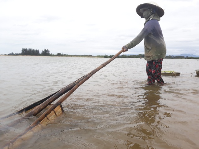 Quảng Ngãi: Nhọc nhằn đãi cát tìm hến nơi cửa sông - 5 Nghề nhủi hến tuy cực nhọc nhưng là kế sinh nhai của hàng trăm người dân vùng cửa sông Trà Khúc