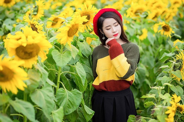 Nữ sinh xứ Nghệ “gây thương nhớ” với bộ ảnh ở cánh đồng hoa hướng dương - 4
Ngoài thời gian dành cho việc học ở trường, Nguyệt Hằng không ngần ngại tham gia những chuyến đi cùng bạn bè, cánh đồng hoa hướng dương là một trong những điểm dừng chân của Hằng trong hành trình khám phá cuộc sống.