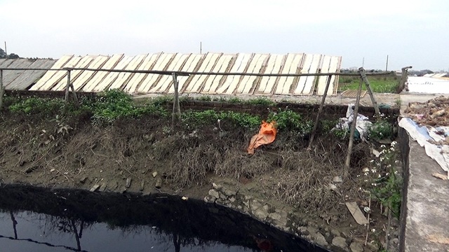 Cảnh hàng tấn miến phơi ven đường mất vệ sinh ở Hà Nội - 7
Ngoài phơi miến không đảm bảo vệ sinh, các hộ sản xuất miến còn xả thải nước thải không qua xử lý ra môi trường gây ô nhiễm.
