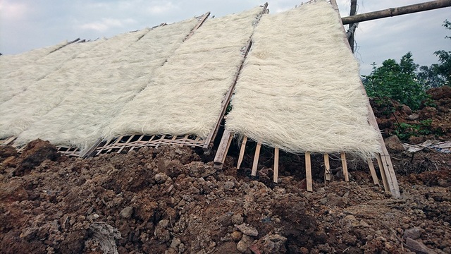 Cảnh hàng tấn miến phơi ven đường mất vệ sinh ở Hà Nội - 2
Gần Tết Nguyên đán, hàng nghìn hộ dân ở Dương Liễu, Minh Khai tất bật vào vụ sản xuất lớn nhất trong năm. Sản lượng miến tăng cao bao nhiêu thì khâu phơi miến lại không đảm bảo vệ sinh bấy nhiêu. Nhiều bãi đất bẩn được trưng dụng thành nơi phơi miến.