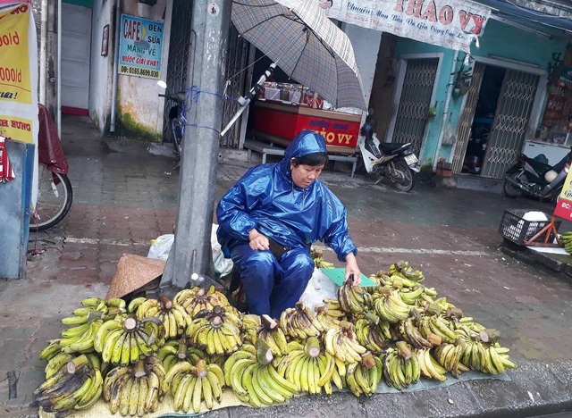 Nhịp sống người lao động dưới những cơn mưa xứ Huế - 4 Nhịp sống người lao động dưới những cơn mưa xứ Huế - 4