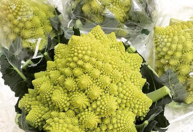 Dán mác hàng Nhật, cây súp lơ giá chát 250 ngàn đồng - 1
Súp lơ xanh hình xoắn ốc và súp lơ vàng Nhật Bản đang được một số cửa hàng rao bán với giá 230.000-250.000 đồng/cây