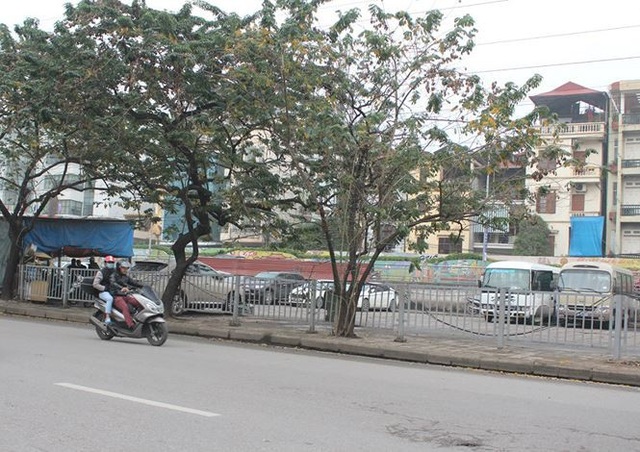 Mỗi ngày mất 300 nghìn gửi xe, nhiều người bỏ cuộc chơi xế hộp - 11
Bãi xe của công ty CP Đồng Xuân trên đường Trần Quang Khải (Hoàn Kiếm) cũng thưa thớt xe hơn bình thường.