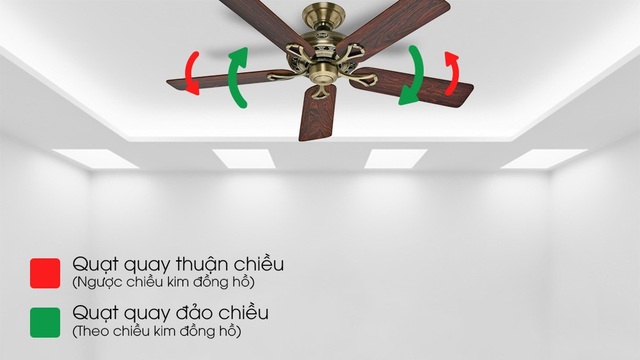 Quạt trần hay điều hoà hữu dụng hơn? - 2 Hiện nay chỉ có sản phẩm của những thương hiệu quạt trần Mỹ có chế độ quay đảo chiều