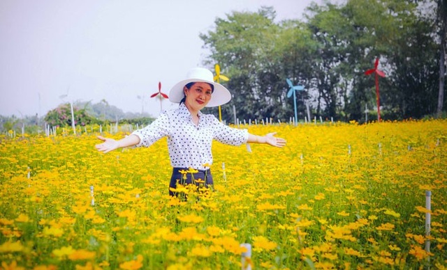 Không thể tin nổi giữa Sài Gòn có cánh đồng hoa đẹp đến thế! - 8 Không thể tin nổi giữa Sài Gòn có cánh đồng hoa đẹp đến thế! - 8