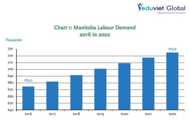 Du học Canada: Lộ trình thẳng tiến Đại học - Rộng mở định cư - 3
Nhu cầu lao động tại Manitoba giai đoạn 2016-2022