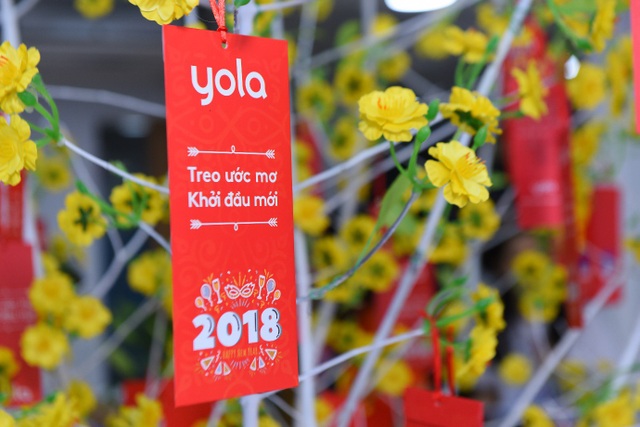 Khai trương Trung tâm mới YOLA THỦ ĐỨC, Quận Thủ Đức - 4 Khai trương Trung tâm mới YOLA THỦ ĐỨC, Quận Thủ Đức - 4