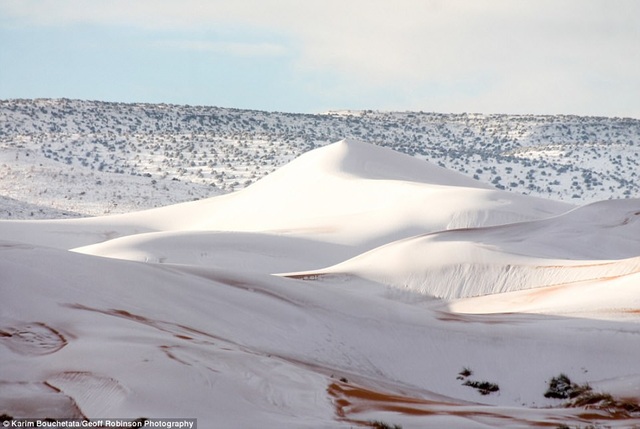 Tuyết phủ trắng đồi cát trên sa mạc Sahara. (Ảnh: Karim Bouchetata)