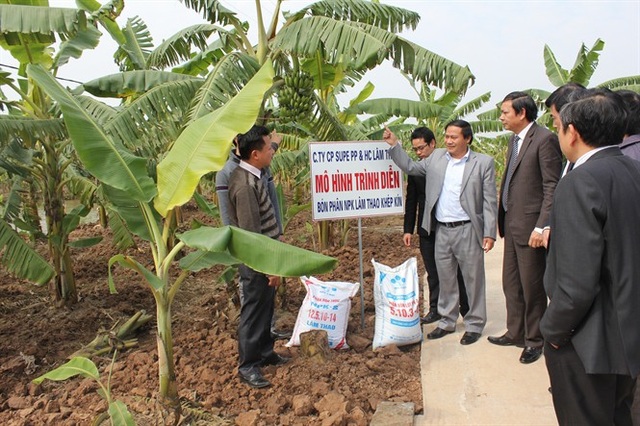 Supe Lâm Thao: Nhiều giải pháp đẩy lùi nạn phân bón giả - 2
Supe Lâm Thao luôn tổ chức các lớp tập huấn hướng dẫn sử dụng phân bón chuẩn và đúng cách cho bà con nông dân.