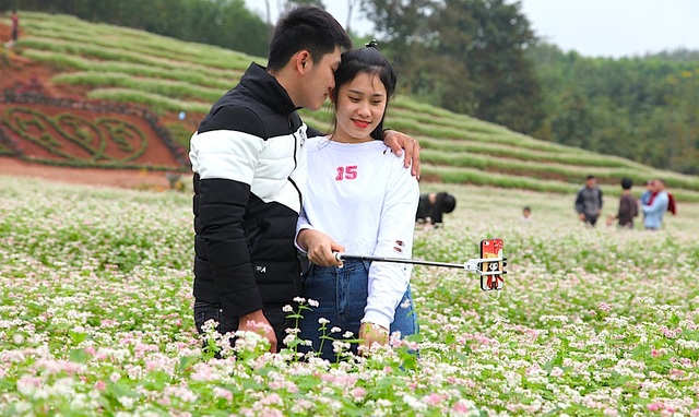Chiêm ngưỡng vườn hoa Tam giác mạch đầu tiên ở xứ Nghệ - 11 Đây cũng là địa điểm lý tưởng để cho những bạn trẻ yêu nhau ghi lại những khoảnh khắc đáng nhớ.