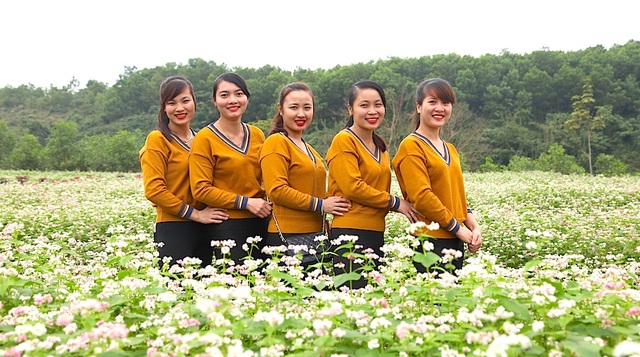 Chiêm ngưỡng vườn hoa Tam giác mạch đầu tiên ở xứ Nghệ - 8 Bạn trẻ thích thú bên cánh đồng hoa.