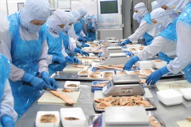 Thưởng Tết Dương lịch: Lao động ngành chế biến thủy sản nhận thưởng 50 nghìn đồng - 1 Thưởng Tết Dương lịch: Lao động ngành chế biến thủy sản nhận thưởng 50 nghìn đồng - 1