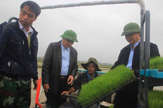 Quảng Trị áp dụng công nghệ mới, cơ giới hóa trong sản xuất nông nghiệp - 2 Quảng Trị áp dụng công nghệ mới, cơ giới hóa trong sản xuất nông nghiệp - 2