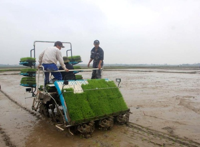 Quảng Trị áp dụng công nghệ mới, cơ giới hóa trong sản xuất nông nghiệp - 3 Quảng Trị áp dụng công nghệ mới, cơ giới hóa trong sản xuất nông nghiệp - 3