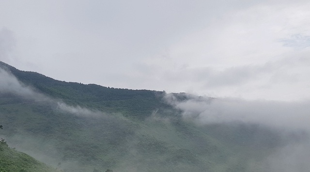 Duong deo Hai Van chim trong suong mu 3.jpg Duong deo Hai Van chim trong suong mu 3.jpg