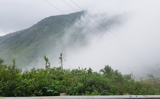 Duong deo Hai Van chim trong suong mu 4.jpg Duong deo Hai Van chim trong suong mu 4.jpg