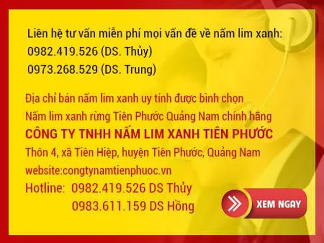 paner chuan.jpeg nam kinh