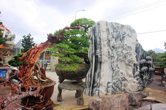 Bonsai cổ thụ dáng cực lạ giá cả trăm triệu ngóng đại gia dịp Tết - 9 Bonsai cổ thụ dáng cực lạ giá cả trăm triệu ngóng đại gia dịp Tết - 9