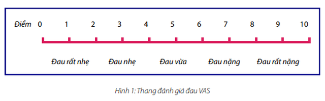 dantri sửa.docx.png dantri sửa.docx.png
