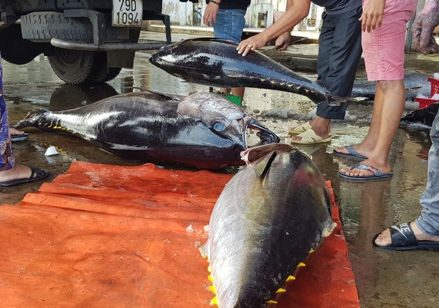 Ngư dân mang gà, heo, dưa kiệu... ra biển ăn Tết - 5 Ngư dân mang gà, heo, dưa kiệu... ra biển ăn Tết - 5