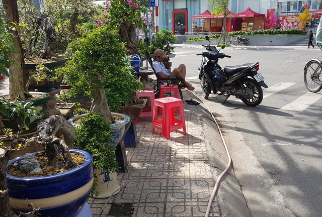 Nha Trang: Sắc xuân ngập tràn phố biển, du khách háo hức dạo phố 201901251005341-1548425665984