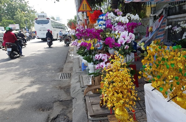 Nha Trang: Sắc xuân ngập tràn phố biển, du khách háo hức dạo phố 20190125100918-1548425665867