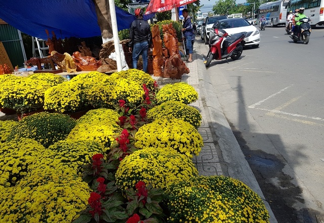 Nha Trang: Sắc xuân ngập tràn phố biển, du khách háo hức dạo phố - 1