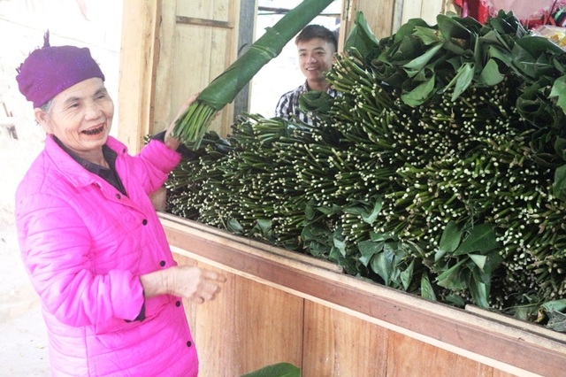 Thanh Hoá: Kiếm tiền triệu từ lá dong rừng - 4 Thanh Hoá: Kiếm tiền triệu từ lá dong rừng - 4