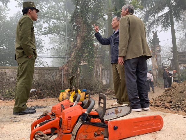 Hà Nội: Chặt hạ cây sưa đỏ 100 năm tuổi bên cạnh cây sưa trăm tỷ - 2
