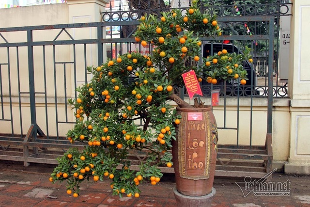 Đệ nhất Hà thành cả năm ém kỹ, Tết ngã giá trăm triệu không bán - 10..jpg Đệ nhất Hà thành cả năm ém kỹ, Tết ngã giá trăm triệu không bán - 10..jpg