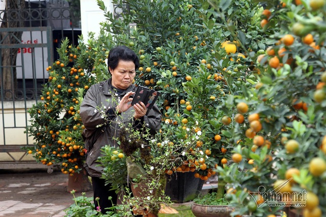 Đệ nhất Hà thành cả năm ém kỹ, Tết ngã giá trăm triệu không bán - 16 Đệ nhất Hà thành cả năm ém kỹ, Tết ngã giá trăm triệu không bán - 16