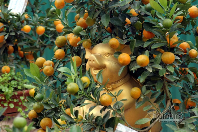 Đệ nhất Hà thành cả năm ém kỹ, Tết ngã giá trăm triệu không bán - 5 Đệ nhất Hà thành cả năm ém kỹ, Tết ngã giá trăm triệu không bán - 5