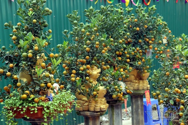 Đệ nhất Hà thành cả năm ém kỹ, Tết ngã giá trăm triệu không bán - 6 Đệ nhất Hà thành cả năm ém kỹ, Tết ngã giá trăm triệu không bán - 6