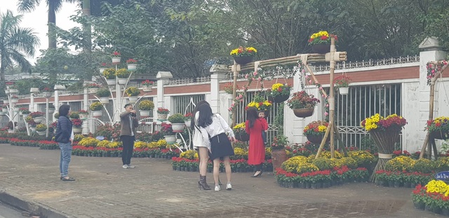 Con đường hoa xuân độc đáo Thành Vinh - 6 Con đường hoa xuân độc đáo Thành Vinh - 6