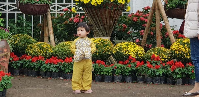 Con đường hoa xuân độc đáo Thành Vinh - 13 Con đường hoa xuân độc đáo Thành Vinh - 13