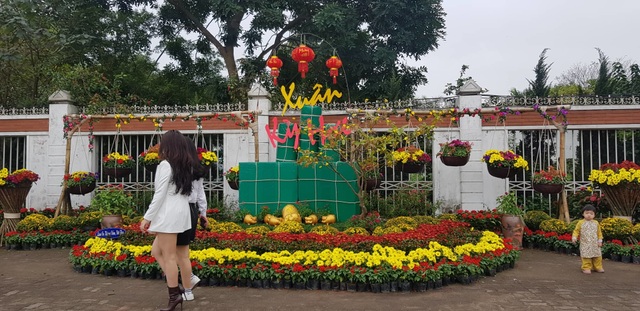 Con đường hoa xuân độc đáo Thành Vinh - 3 Con đường hoa xuân độc đáo Thành Vinh - 3