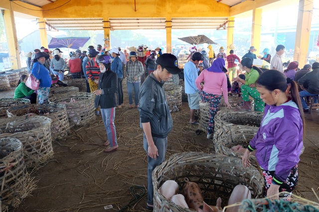 Chợ heo Bà Rén họp chợ từ 7h-9h sáng mỗi ngày.JPG Chợ heo Bà Rén họp chợ từ 7h-9h sáng mỗi ngày.JPG