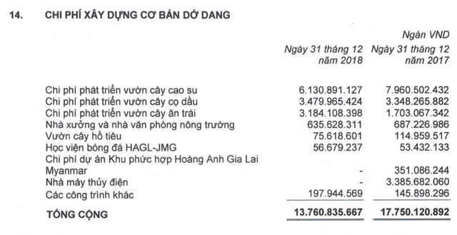 Kinh doanh sa sút, bầu Đức vẫn chi mạnh tay cho đào tạo bóng đá trẻ - 2