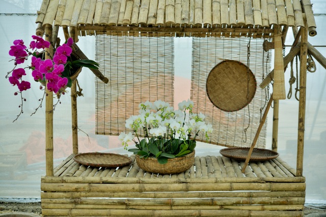 Hàng trăm loại hoa khoe sắc tại lễ hội Xuân Bái Đính - 9 Hàng trăm loại hoa khoe sắc tại lễ hội Xuân Bái Đính - 9