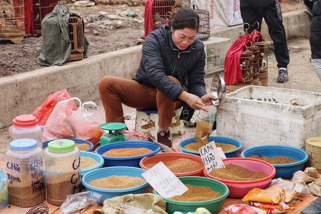 Khám phá chợ chim độc đáo, lớn nhất Hà Nội ngày cuối năm - 12