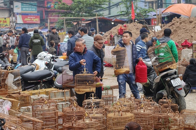 Khám phá chợ chim độc đáo, lớn nhất Hà Nội ngày cuối năm - 2