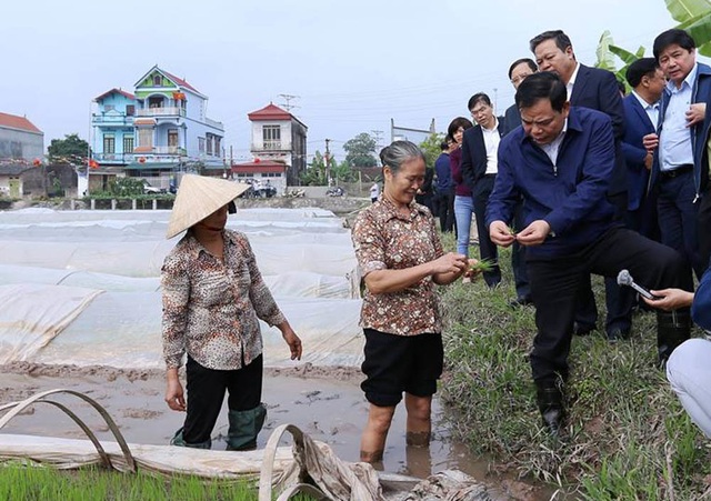 Bộ trưởng Nông nghiệp xuống đồng ngày Tết, mừng tuổi nông dân