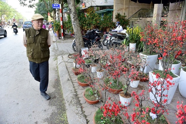 Mai đỏ Trung Quốc để mấy tháng không tàn đổ bộ “thủ phủ” đào Việt - 14 Mai đỏ Trung Quốc để mấy tháng không tàn đổ bộ “thủ phủ” đào Việt - 14