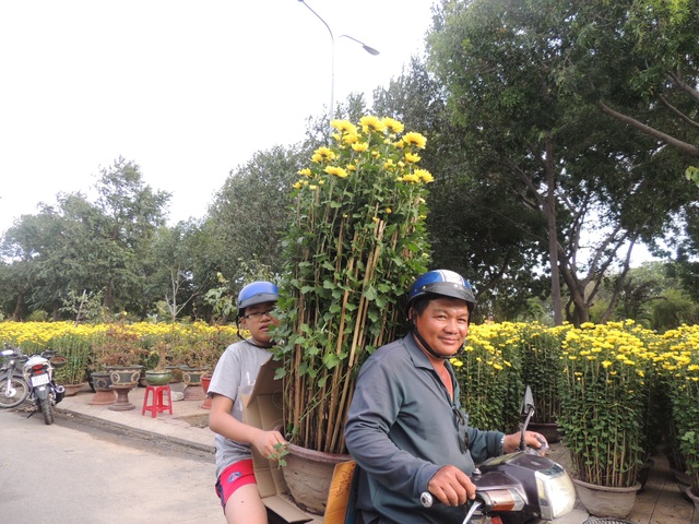 Hoa hồng kiểng hút hàng ngày giáp Tết - 3 Hoa hồng kiểng hút hàng ngày giáp Tết - 3