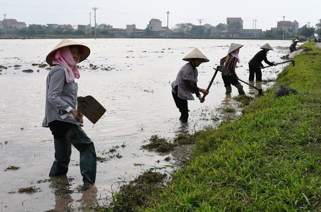 Bộ trưởng Nông nghiệp xuống đồng ngày Tết, mừng tuổi nông dân - Ảnh minh hoạ 2