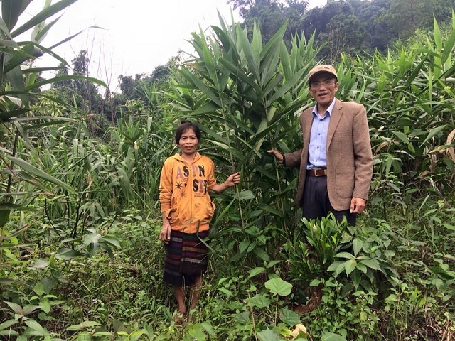 Người đảng viên hết lòng vì dân bản giữa Trường Sơn - Ảnh minh hoạ 4